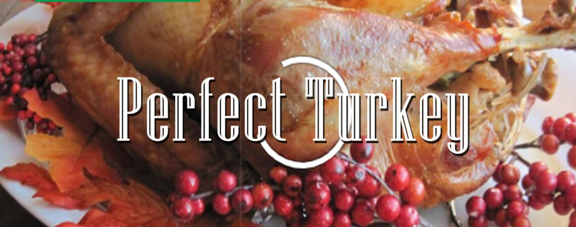 Perfect Turkey  Perfect Turkey Turkey1 1140x450